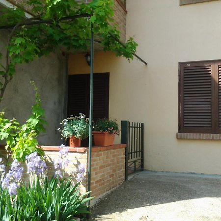 Appartamento In Collina "La Perla" ริปาร์เบลลา ภายนอก รูปภาพ
